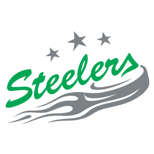 Logo Bietigheim Steelers Blau
