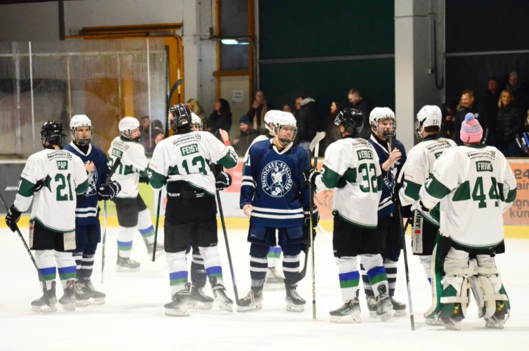 Herren vs bietigheim steelers 2026 10 17 12 handshake nach dem spiel