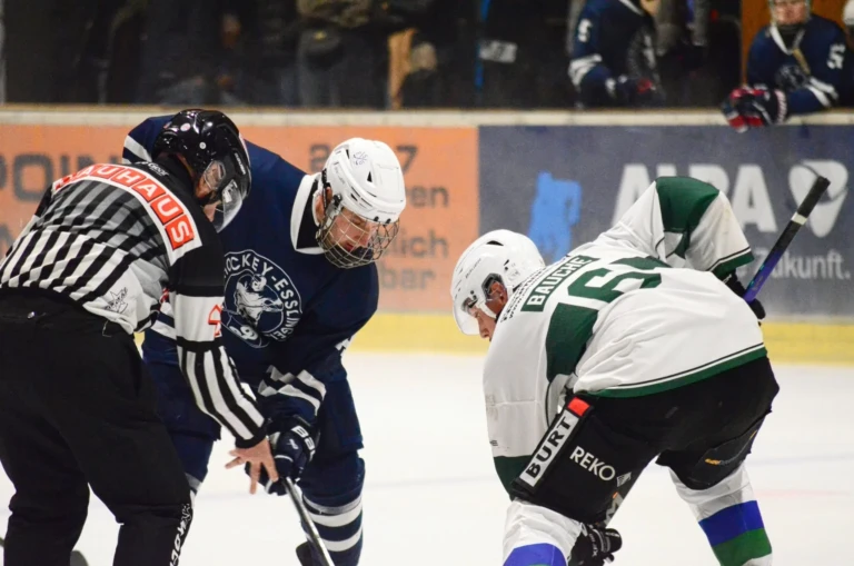 Herren vs bietigheim steelers 2026 10 17 18 anspiel mit schiedsrichter