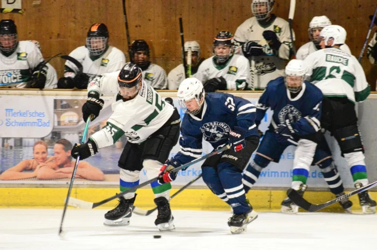 Herren vs bietigheim steelers 2026 10 17 19 zweikampf an der bande