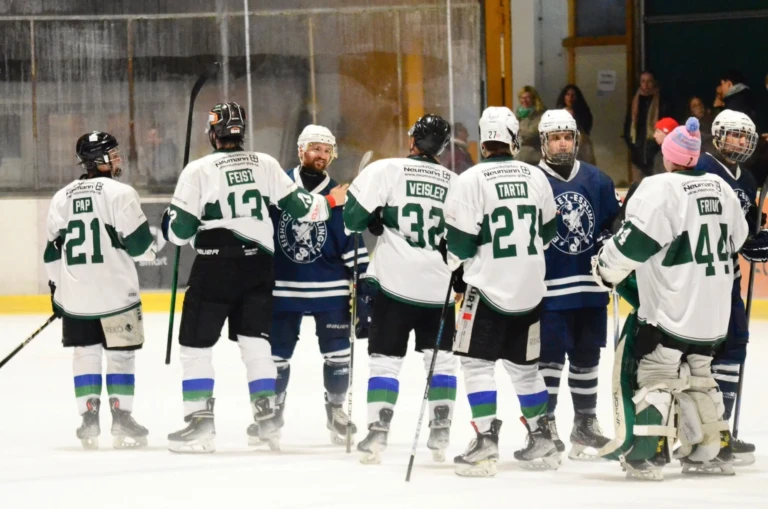 Herren vs bietigheim steelers 2026 10 17 27 handshake nach dem spiel 2