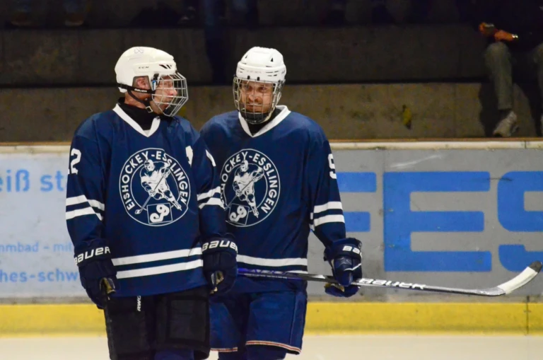 Herren vs bietigheim steelers 2026 10 17 34 zwei spieler auf dem eis
