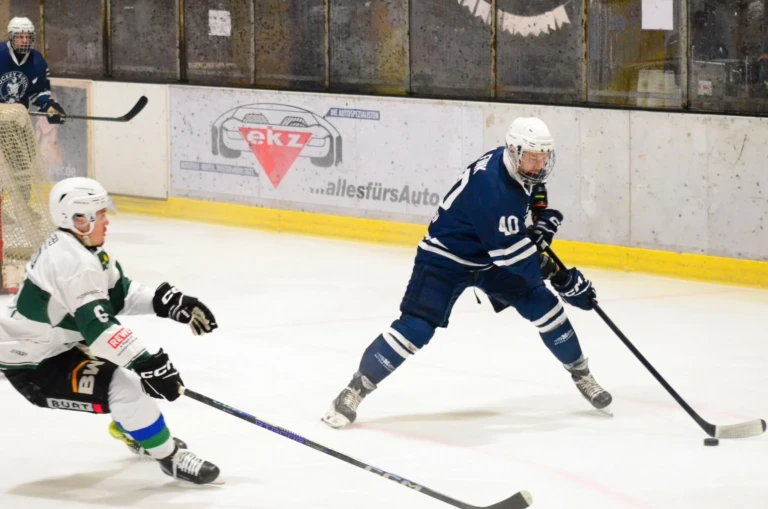 Herren vs bietigheim steelers 2026 10 17 43 m fink 40