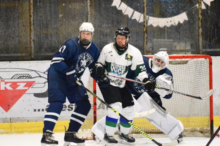 Herren vs bietigheim steelers 2026 10 17 47 nr 17 vor dem tor